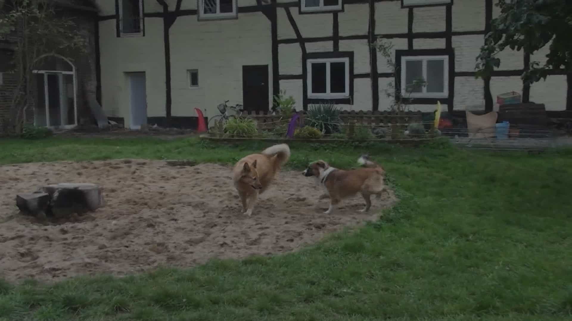 Spielerische T-Stellung