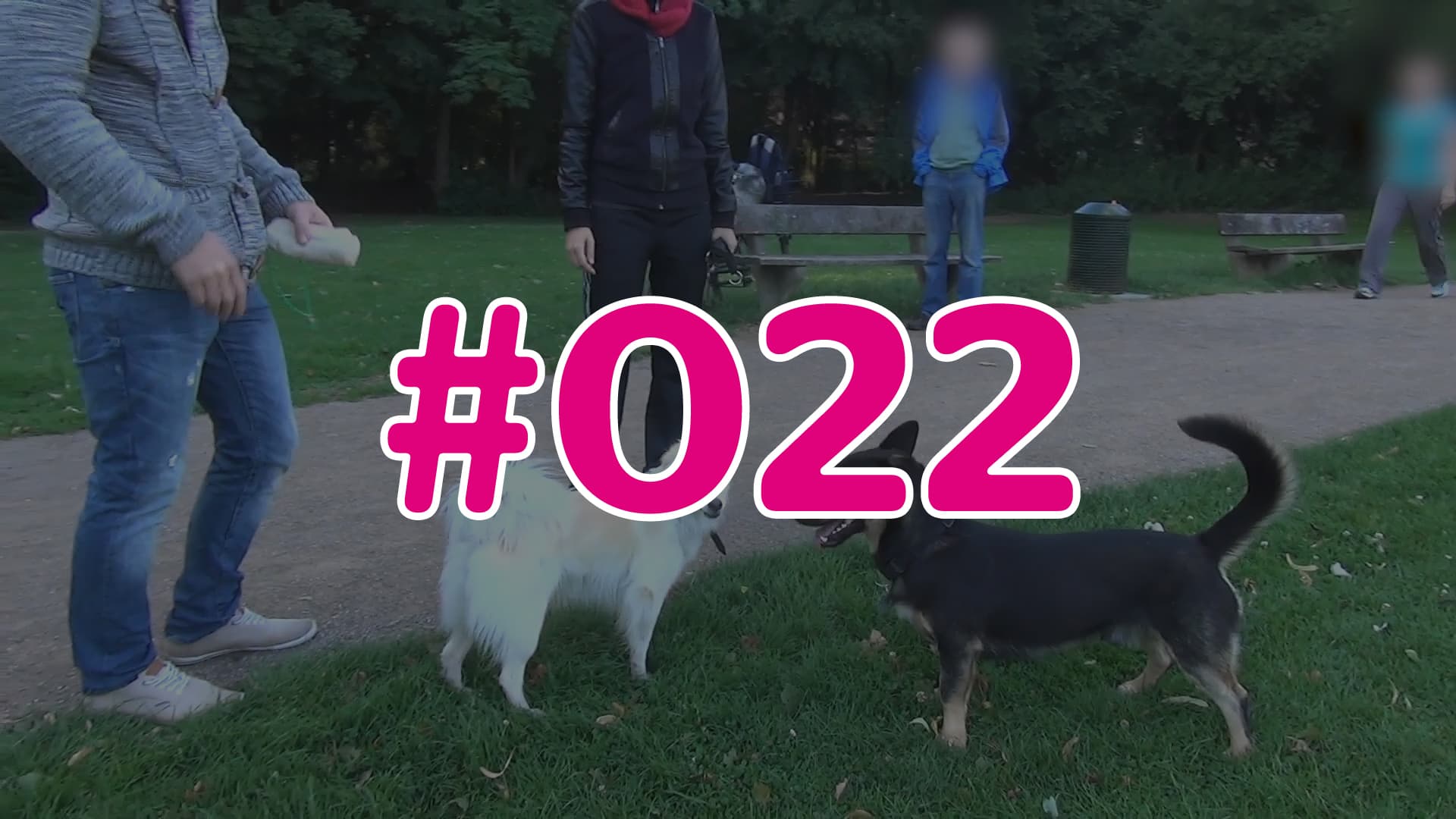 #022 - Wissens-Check