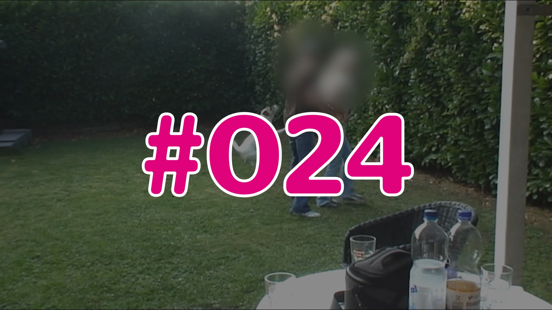 #024 - Wissens-Check