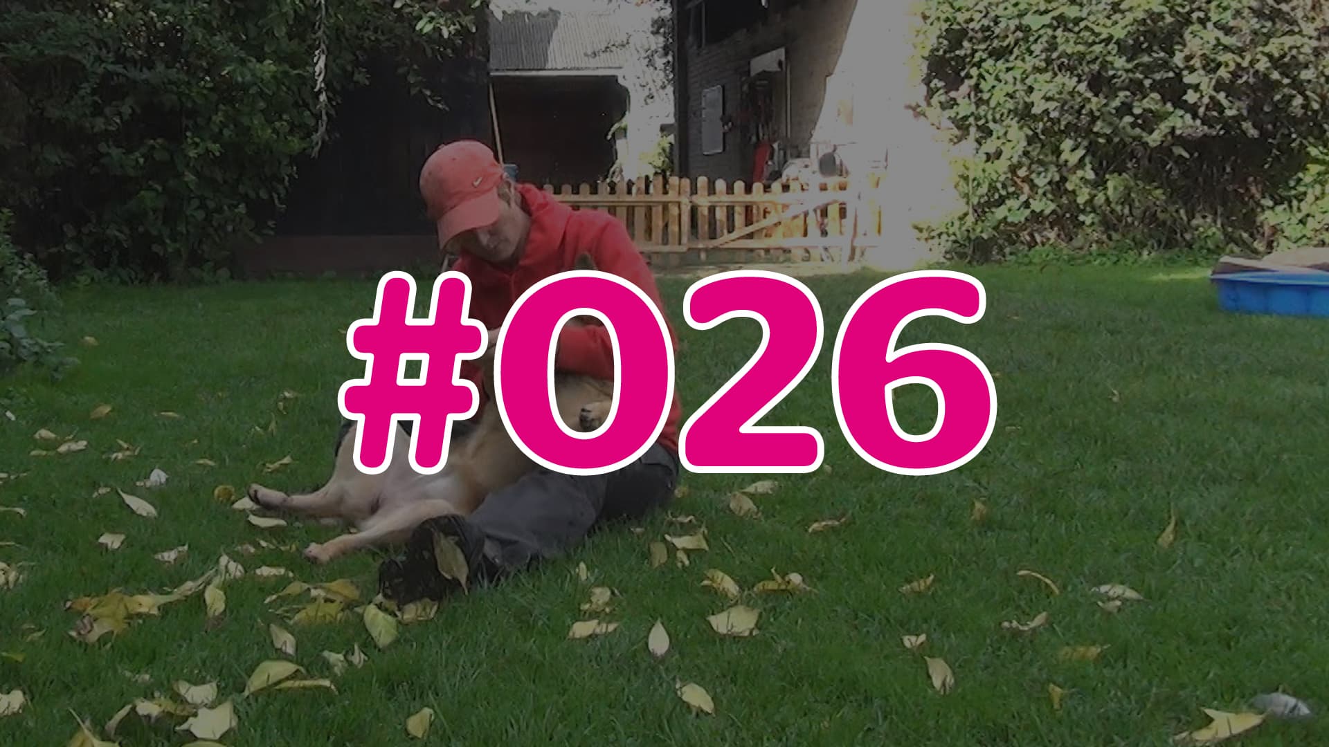 #026 - Wissens-Check