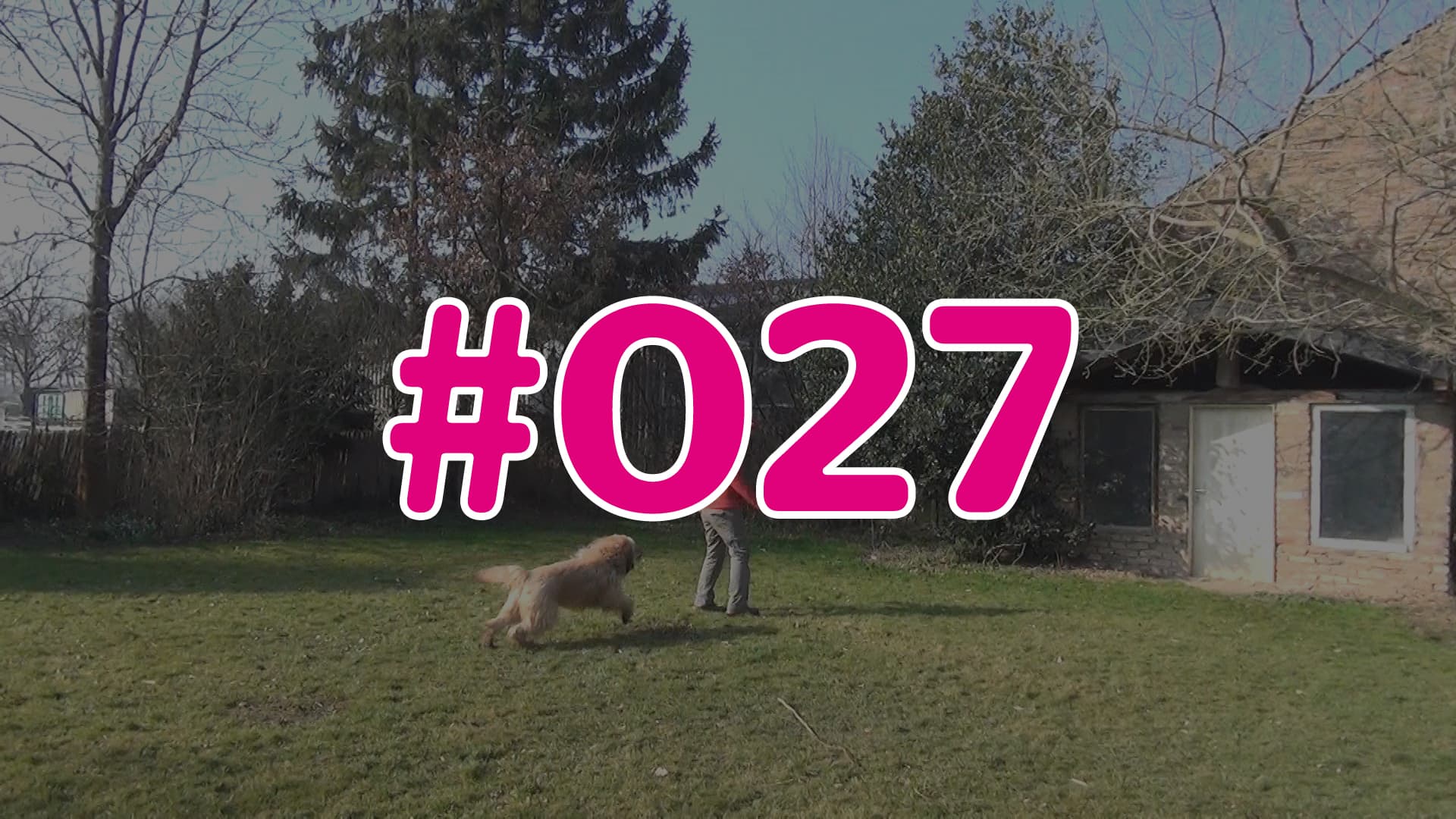 #027 - Wissens-Check