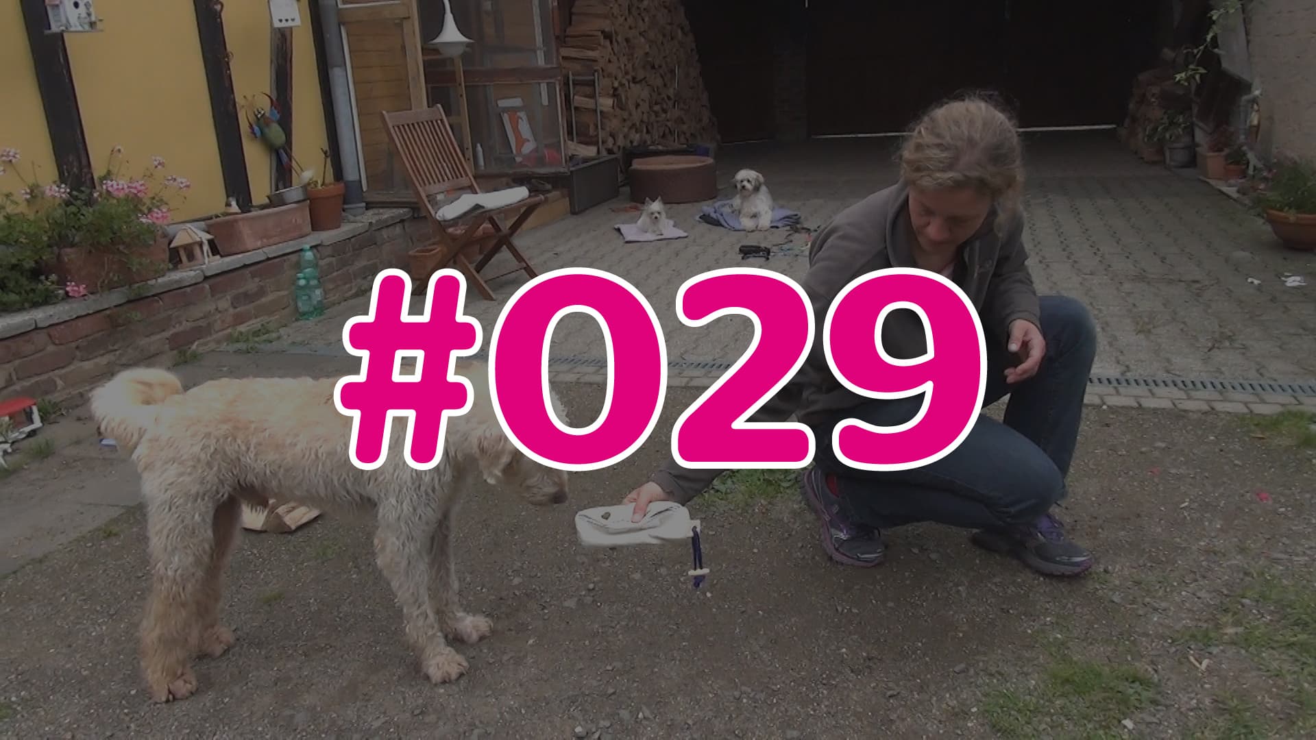 #029 - Wissens-Check