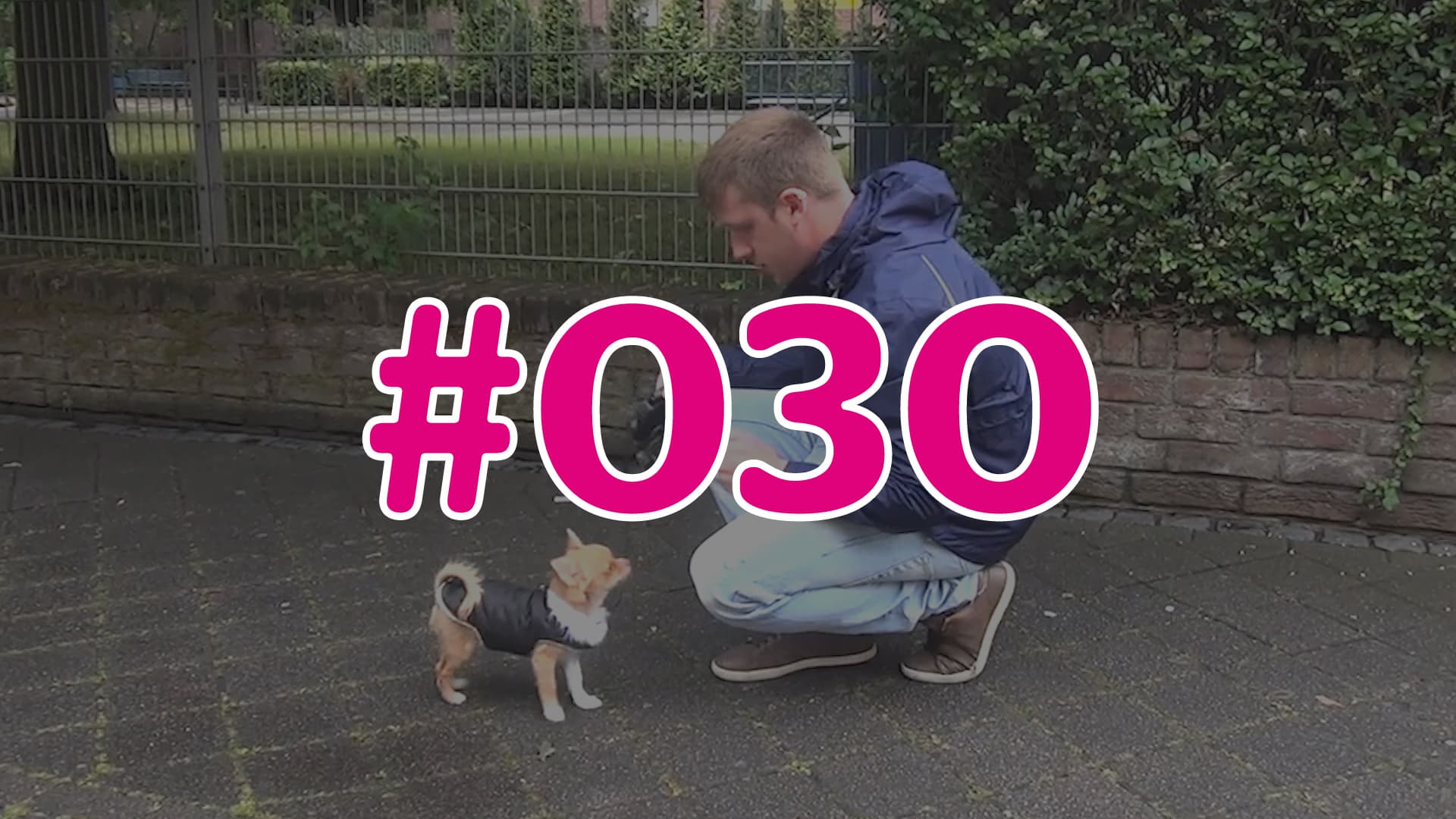 #030 - Wissens-Check