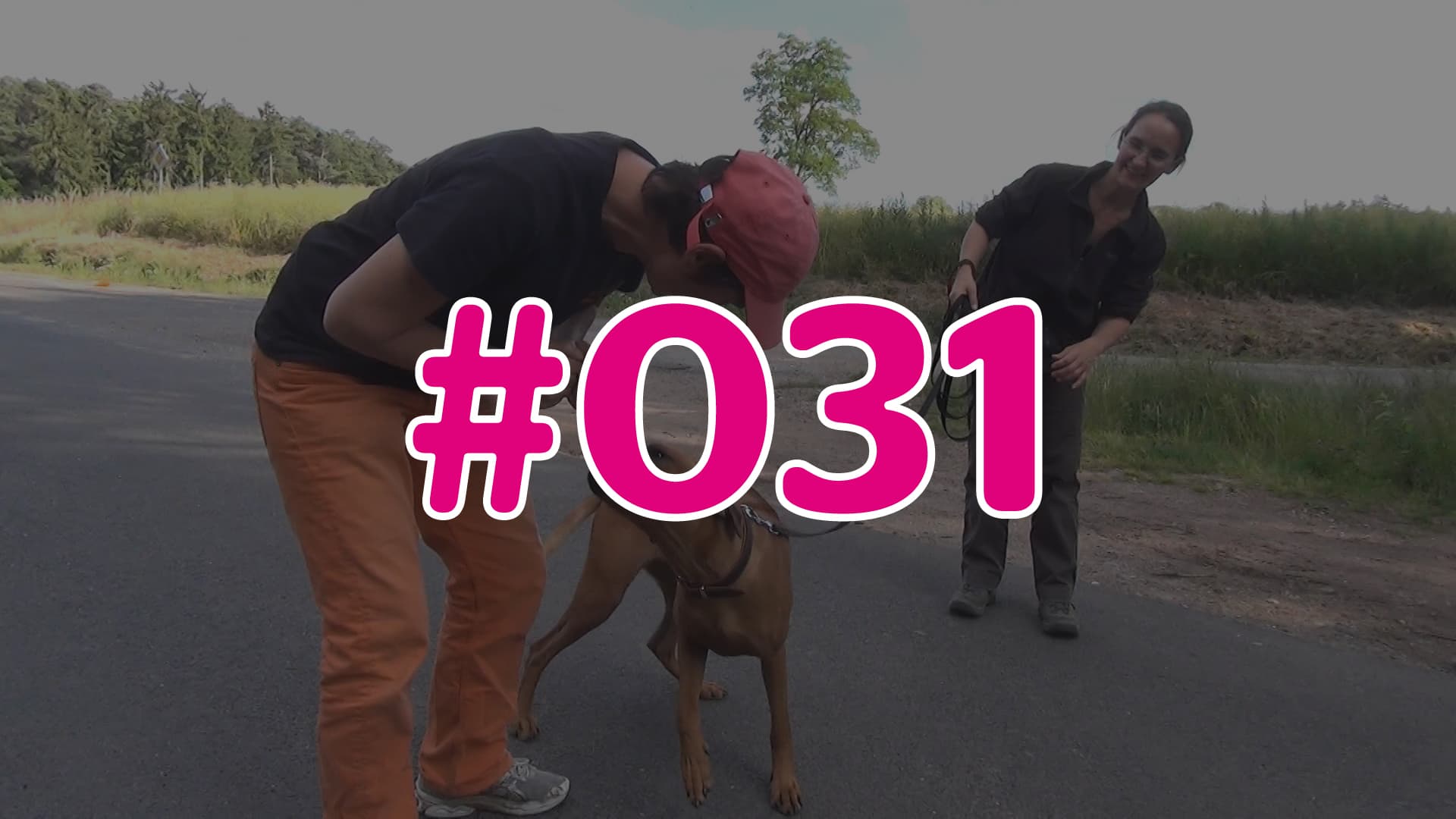 #031 - Wissens-Check