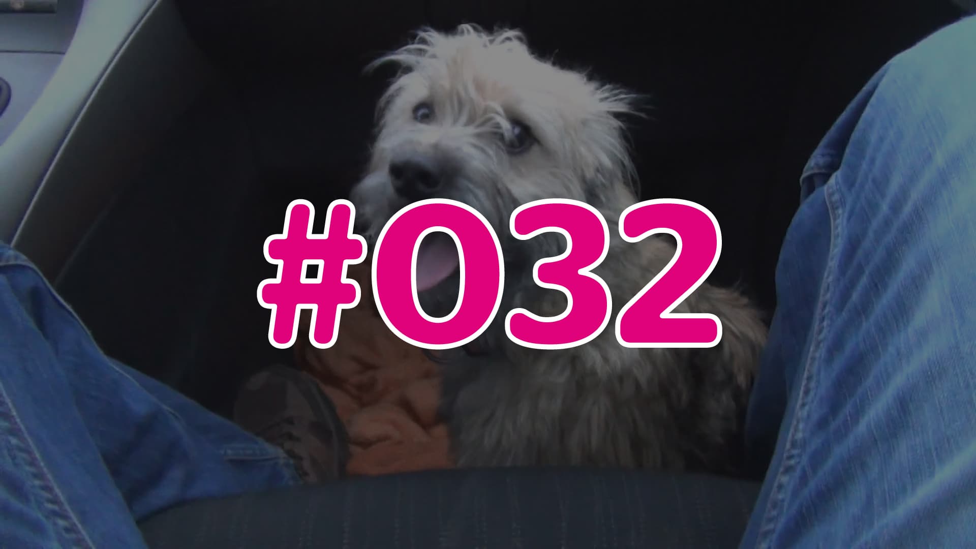 #032 - Wissens-Check