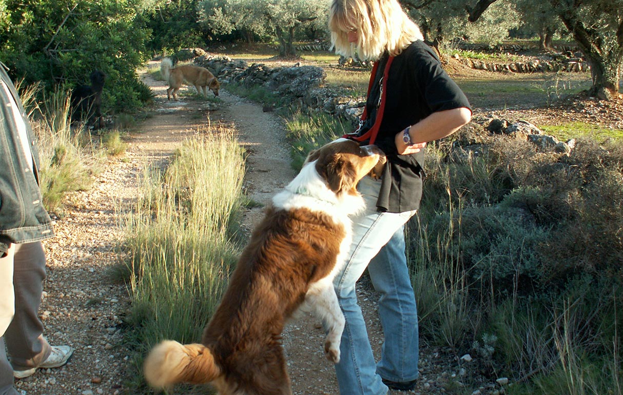 Mein Hund will im Garten